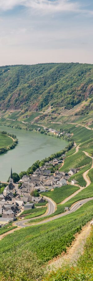 Weine von Mosel & Saar - 24.4.26 - 19:30Uhr